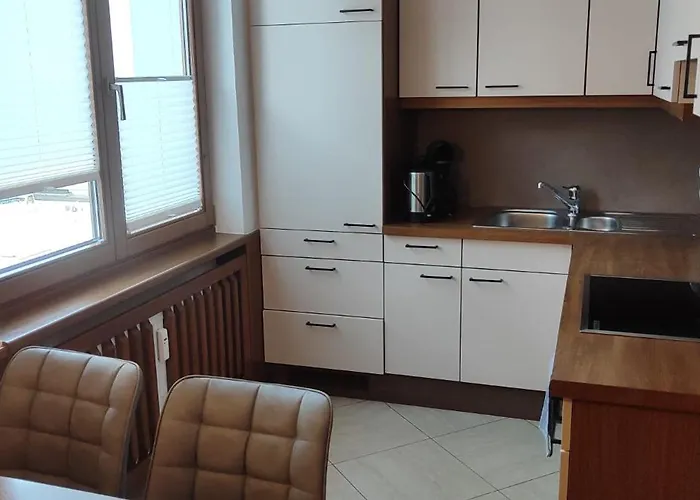 Apartment Hafner Mayrhofen